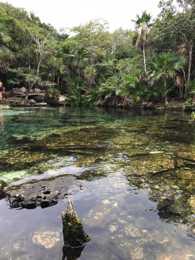 Refugio Selvatico Con Piscina Privada En
